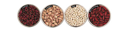 US Dry Beans Varieies Guide