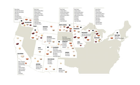 US Dry Beans Suppliers Map