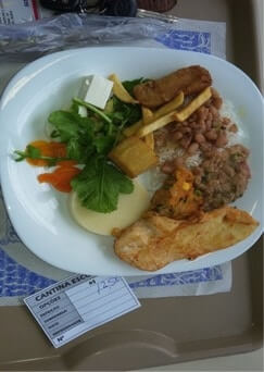 brazil-pintos
